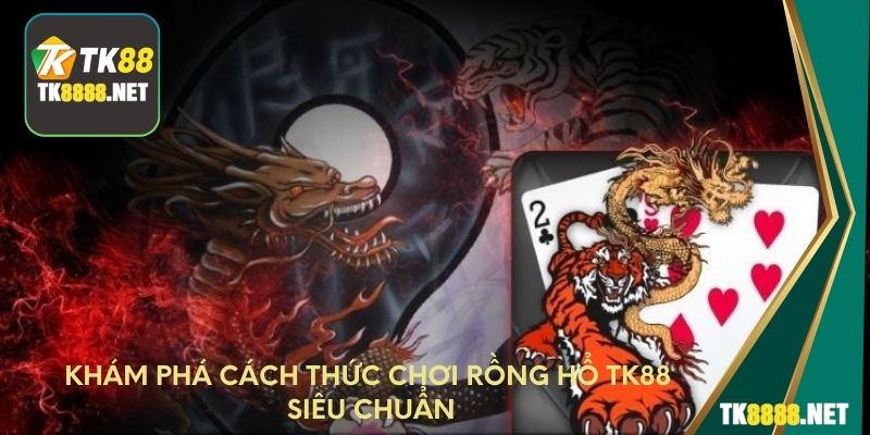 Khám phá cách thức chơi rồng hổ TK88 siêu chuẩn